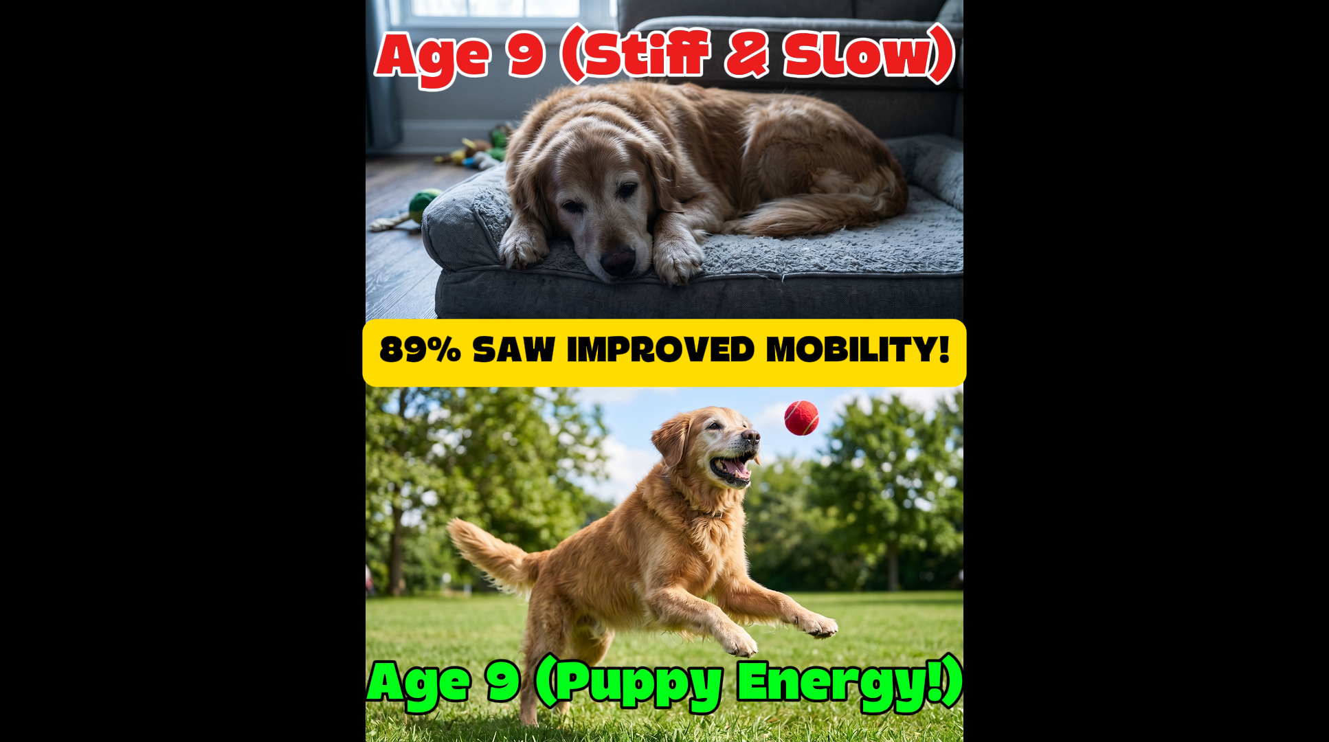 Split Screen Pet Wellness Ad